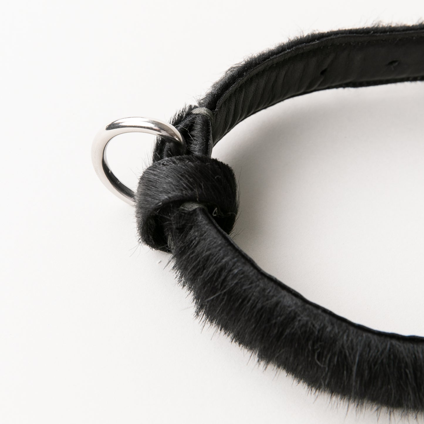 CLUB DOG COLLAR