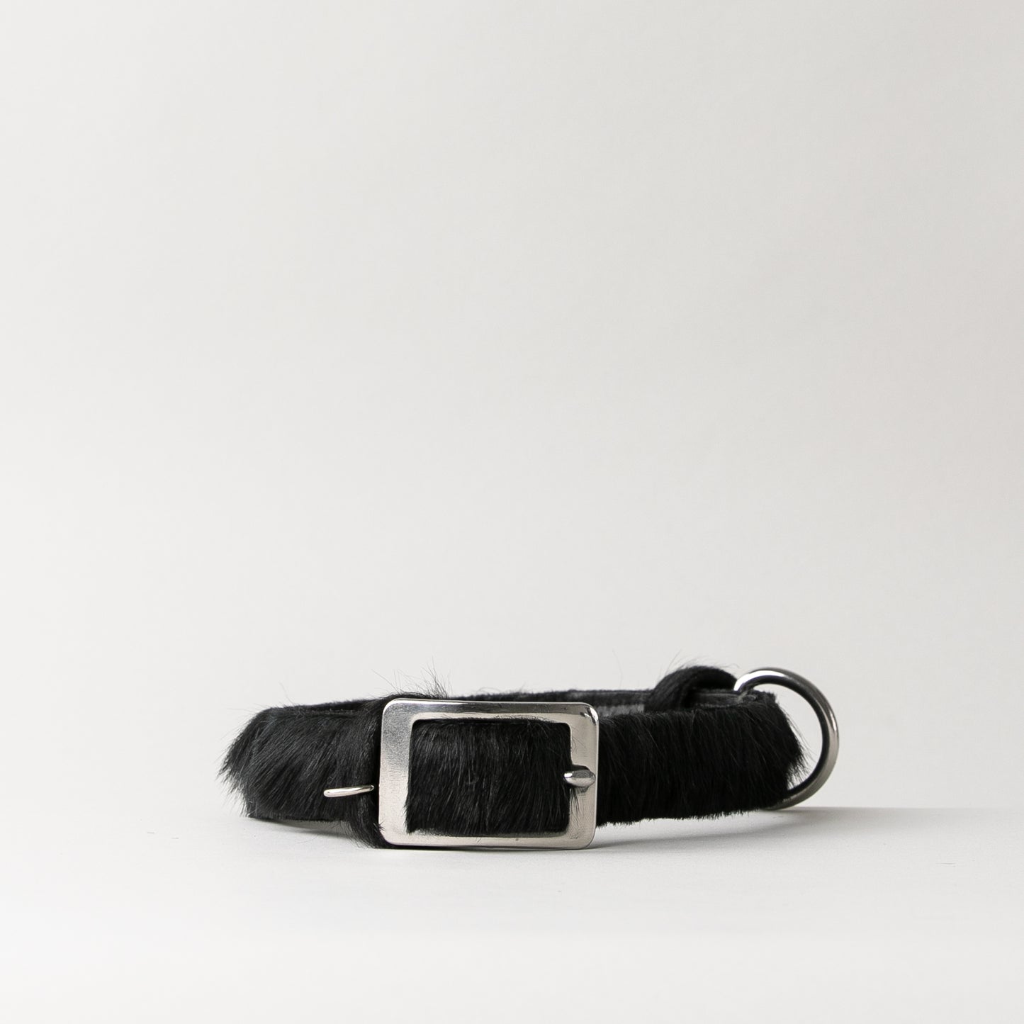 CLUB DOG COLLAR