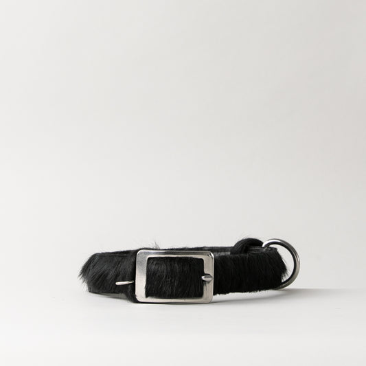 CLUB DOG COLLAR
